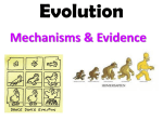 Artificial Selection Mutations are random changes in DNA and may