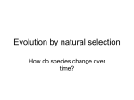 Evolution by natural selection
