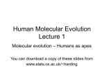 Human Molecular Evolution Lecture 2