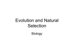 Evolution and Natural Selection