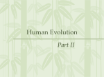 Human Evolution - Emmanuel Biology 12