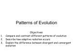 Patterns of Evolution