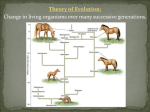 Evolution - Wikispaces