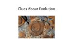 Clues About Evolution