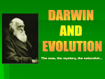 Darwin Evolution