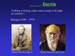 10. Darwin and more