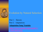 Evolution by Natural Selection