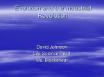 Evolution and the Industrial Revolution