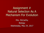 Assignment # Natural Selection As A Mechanism For Evolution