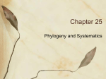 Chapter 25 Presentation