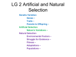 Presentation: Artificial and Natural Selection