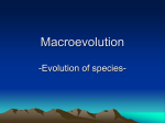 Macroevolution - CPBiologyClass