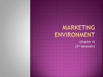 Marketing Environment