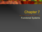 More Functional Systems (17)