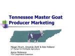 Tennessee Master Goat Producer Marketing