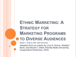 Ethnic Marketing: A Strategy for Marketing Programs to