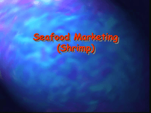 Lecture 10: Seafood Marketing