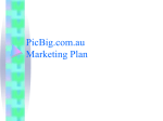 PicBig.com.au Marketing Plan