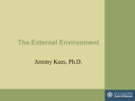 External Environment