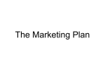 The Marketing Plan