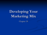 Developing Your Marketing Mix