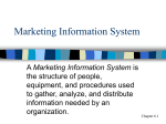 Marketing Information System