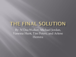 FinalSolution11