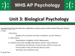 Central Nervous System PowerPoint