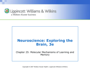 Molecular Mechanisms of Learning and Memory