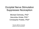 Occipital Nerve Stimulation Suppresses Nociception