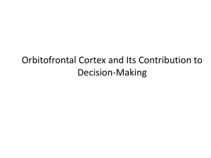 Orbital Frontal Cortex Slides