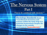 The Nervous System