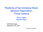 Plasticity of the Immature Brain in Response to Sensory