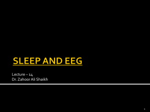 SLEEP AND EEG