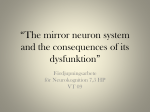 The mirror neuron system and the consequences of its