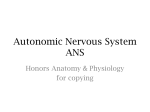 Autonomic Nervous System ANS - Anderson School District One