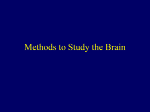 Methods to Study the Brain - Grand Haven Area Public Schools