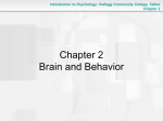 Chapter 2: The Brain and Behavior