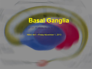 Basal Ganglia objectives - NBio401