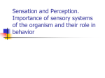 Sensory organs and perception