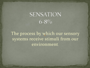 SENSATION - Ms. Kelly's AP Psychology Website