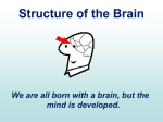 Brain Compatible Learning Strategies