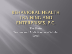 Behavioral Health Training and Enterprises, P.C.