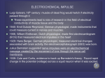 ELECTROCHEMICAL IMPULSE