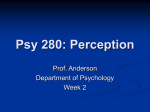 Perception - Department of Psychology