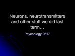 Neurons, neurotransmitters and other stuff we did last term…