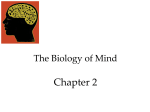 The Biology of Mind 2011-12