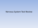 Nervous System Test Review