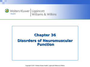 Lower Motor Neuron Damage