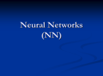 Neural Networks (NN)